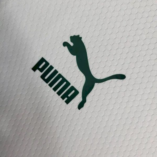 Palmeiras 2023/24 Pre-Match Training Jersey White - Image 8