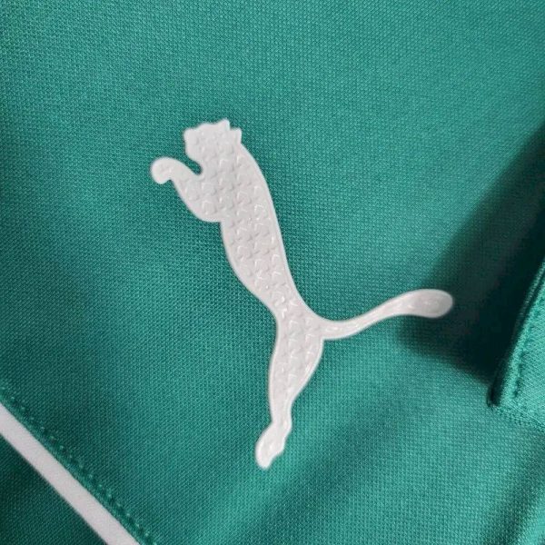 Palmeiras 2023/24 Pre-Match Training Jersey Green - Image 8